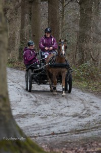 oefenmarathon 2016 MG 9808-9808    